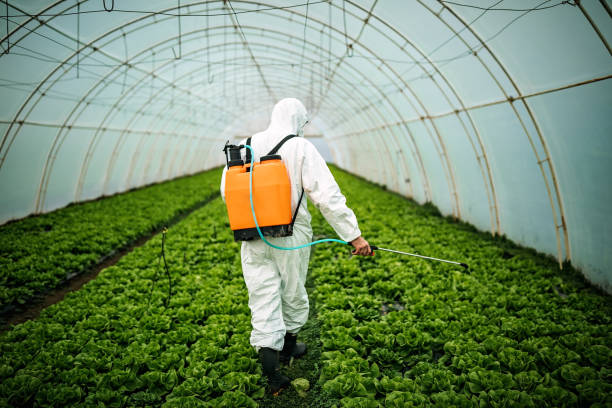 Trusted Le Sueur, MN Pest Control Experts