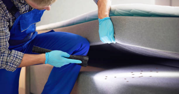 Best Emergency Pest Control  in Le Sueur, MN