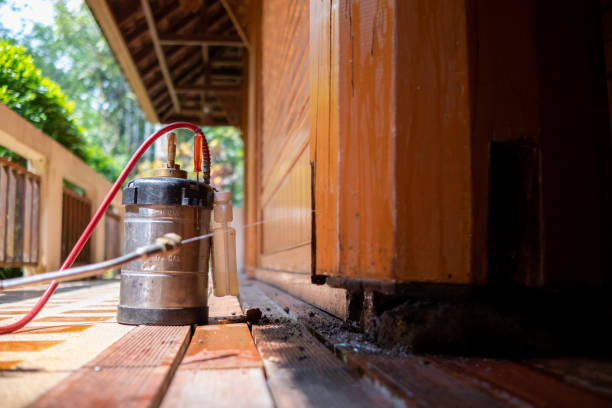 Best Wasp Removal Services  in Le Sueur, MN