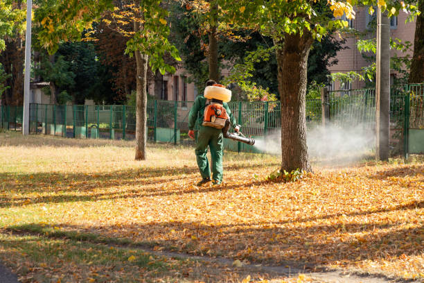 Pest Prevention Services in Le Sueur, MN