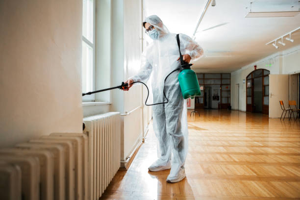 Best Local Pest Control Services  in Le Sueur, MN